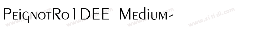 PeignotRo1DEE Medium字体转换